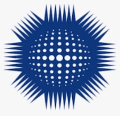Nebosh Logo Icon